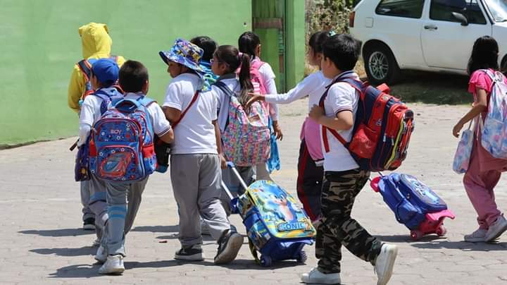 ¿Cómo consultar la boleta de calificaciones de mi hijo en línea y por estado de México? Checa aquí el proceso