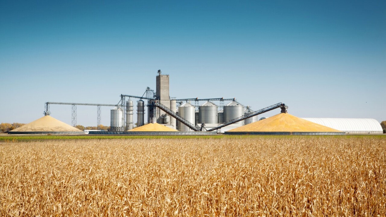 De promesa industrial a herida abierta: el caso MILLFOODS en Salamanca