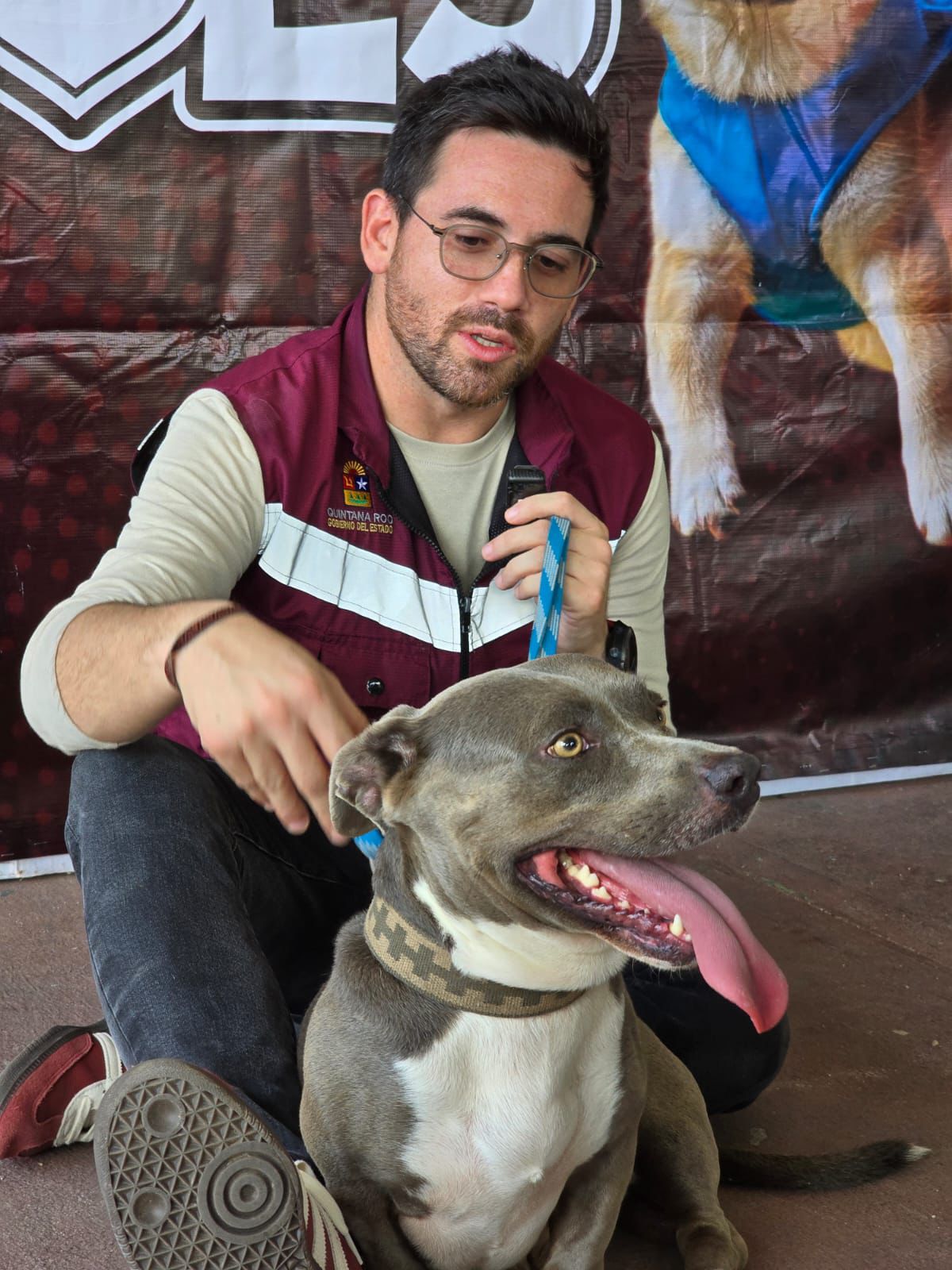 Óscar Rébora anuncia nuevas fechas de la Caravana de Bienestar Animal en Quintana Roo