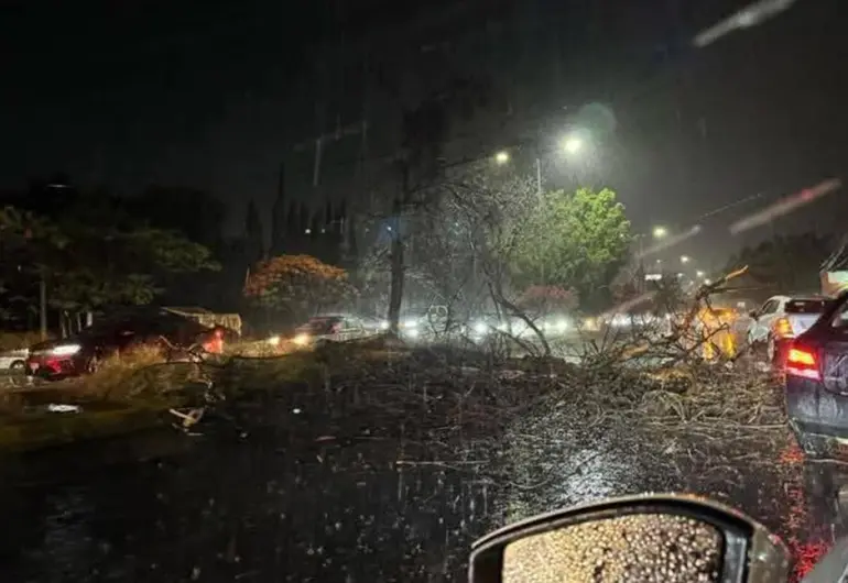 Veracruz emite ALERTA Gris ante amenaza de ‘Norte violento’