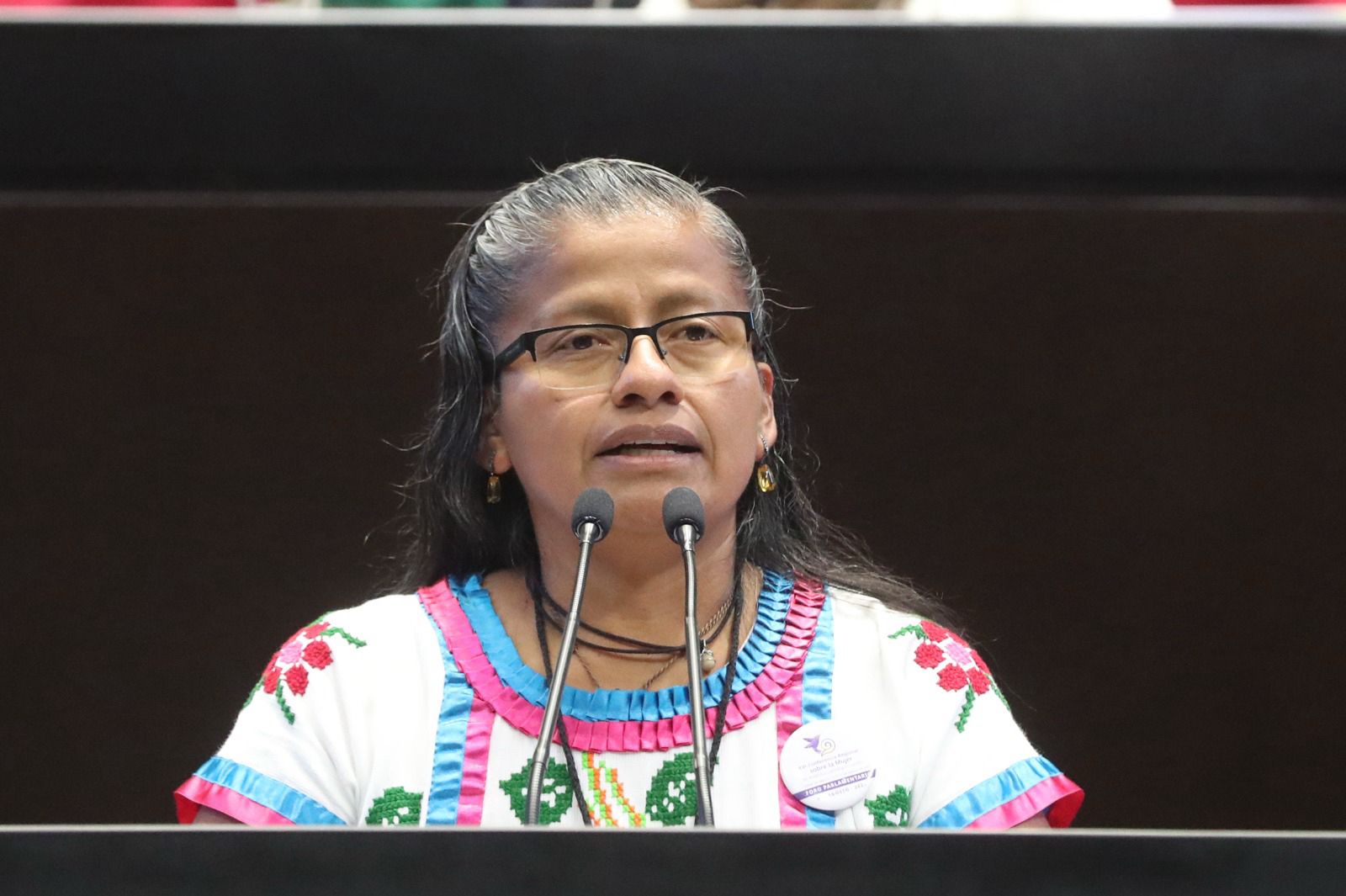 Proponen expedir Ley General de Bienestar, Cuidado, Conservación, Preservación y Protección de los Animales